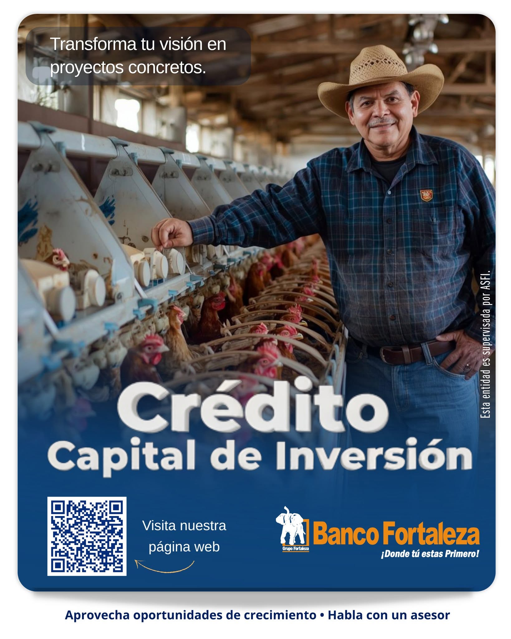 BFO_credito