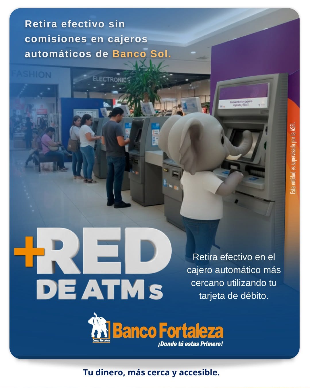 BFO_elephant_atm