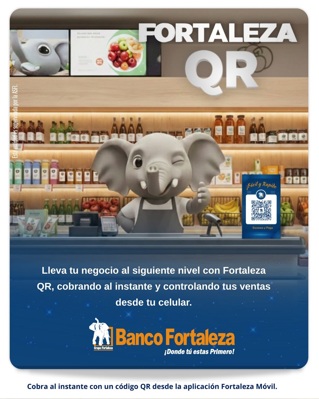 BFO_elephant_qr