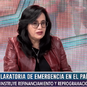 Ivett reprog y refin