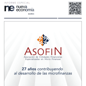 NE_ASOFIN_portada